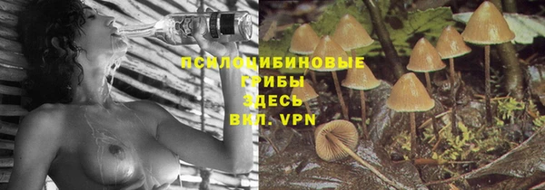 a pvp Балахна
